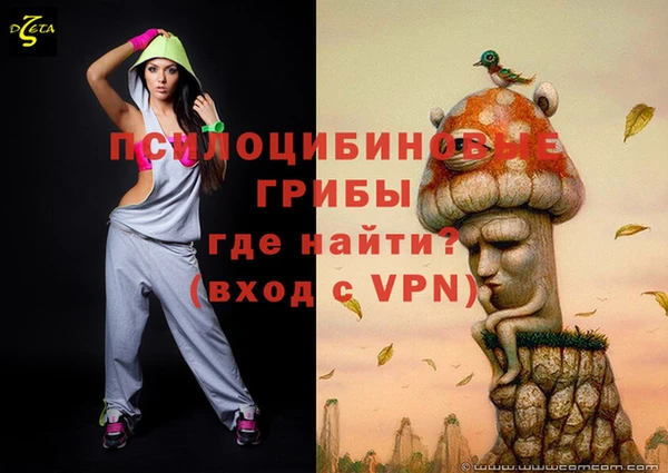 spice Мегион