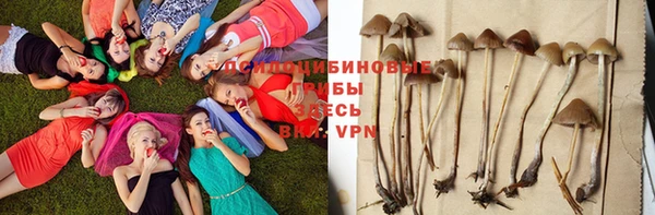 кристаллы Майский