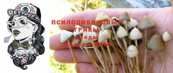 бутират Медвежьегорск